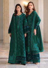 Winter - Noor by Saadia Asad - Pashmina Shawl 25 - NSP#02 - Emerald Reverie