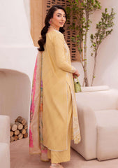 Lawn - Neeshay - Symphony Vol II - Luxury 25 - DUNE