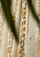 Bahawalpuri Pehnawa - Exclusive Edition - BPD#03