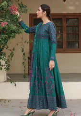 Winter - Xenia - Winter Slub - Unstitched 25 - XF#1119 - DILNAZA