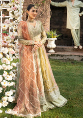 Formals - Rang Rasiya - Wedding Formals 25 - RR#02 - Amil