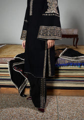 Winter - Jugnu by Hussain Rehar - Unstitched Karandi 25 - Tila