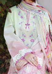Lawn - Mushq - Solace 26 - Ombre Chikankari - MUNSS#204 - Petal Pull