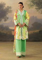 Lawn - Joy - Florum 26 - JPE#07