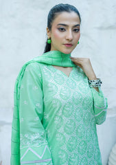 Lawn - Banafsheh - Chikankari Luxury 25 - BN-307