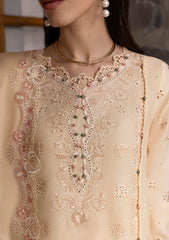 Lawn - Qalamkar - Qlinekari 25 - DC#12 - Disa