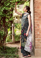 Lawn - Asifa & Nabeel - Yakin - Elysian - (YKL25-11)