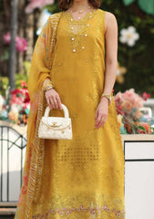 Lawn - Noor by Saadia Asad - Luxe Chikankari 26 - NLC#10