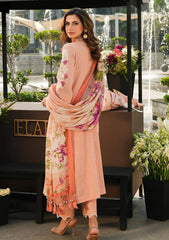 Winter Collection - Elaf Premium - Pashmina Shawl 24 - EPW-7B Flourishing Romance