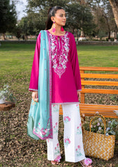 Lawn - Muraad - Raha - Edit 25 - Mayaal