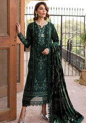 Winter Collection - Nureh - Exclusive Shawl Edition - NE24#122