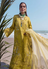 Lawn - Saira Shakira - Unstitched Festive 25 - SAMARA-A