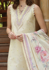 Lawn - Noor by Saadia Asad - Eid Luxe - Printedkari 25 - D#9-A