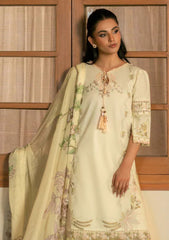 Lawn - Humdum - Mehrmaa 26 - D#01 - Angoori