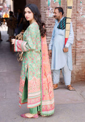 Lawn Collection - Asim Jofa - Basic Prints 24 - AJBB#13