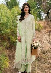 Lawn - Qalamkar - Qlinekari 25 - DC#14 - Meline