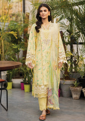 Lawn - Rang Rasiya - Lifestyle - Summer Edit 25 - D#11 - Olivine