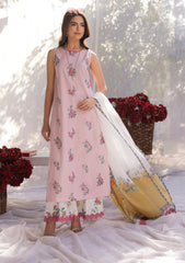 Lawn - Rubaaiyat - Muse Era - Luxury Lawn 25 - RM#05