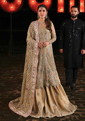 Formals - Nureh - Jhoomro - Luxury 25 - NL#85 - Raina