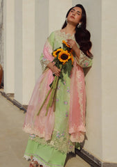 Lawn - Marwat Textiles - Gulmina - Unstitched 25 - D#08 - Gardenia