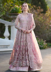 Formals - Inayat - Festive 25 - ELVA