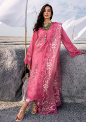 Lawn - Saira Shakira - Unstitched Festive 25 - SAMARA-B