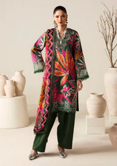 Winter - Naqsh - Zyrah 25 - D#185 - DARK GREEN