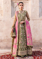 Formals - Zarqash - Arzoo - Wedding Festive 25 - Gulbahār