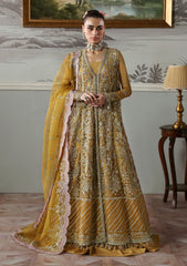 Formals - Akbar Aslam - Deewani 25 - ADF#1571 - Amoria