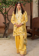 Winter - Humdum - Zaiba - Karandi 25 - D#03