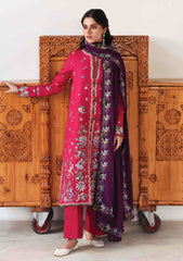 Winter - Republic Womenswear - Amaris 25 - Luxury Shawl - D#08 - Elaria