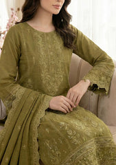 Winter - Meemsey - Noor Jahan - Rangoli Dhanak 25 - D#226 - Green