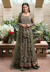 Formals - Roheenaz - Aangan - Chiffon 25 - D#104 - Mehwar