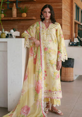 Lawn - AJR Couture - Printed Chikankari 26 - Feya
