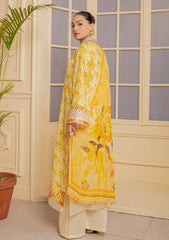 Lawn - Meemsey - Rang Kari - Luxury Festive 25 - MRL#06