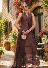 Lawn - Noor by Saadia Asad - Luxury Eid - Schiffli Laserkari 26 - D#03