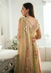 Formals - Mushq - Shaam Shandar - Chiffon 25 - SUR SUNEHRI