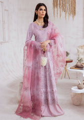 Winter Collection - Nureh - Exclusive - Karandi - NE#39