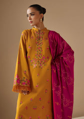 Winter Collection - Rajbari - Nissa - RBN24#12