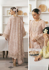 Lawn Collection - Baroque - Swiss - V11 - D#03
