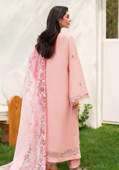 Winter - Asifa & Nabeel - Eden Cambric 25 - ECU#01 - Serene Blush