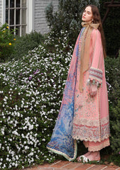 Lawn - Esmel - Belle Saison 26 - EUNSS#205 - Zelle