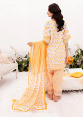 Lawn Colleection - Tabeer - Printkari - TP24#10B - Iqra