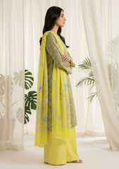 Lawn - Rubaaiyat - R Prints 26 - Volume 3 - D#26 - Yellow