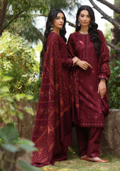 Winter Collection - Noor - Saadia Asad - Suzaanikari - NSK24#01