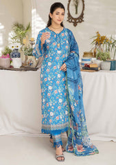 Lawn Collection - Johra - Nazneen - JN24#824