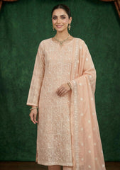 Formals - Riwaj - Fancy Net - 2 Pcs Suit - CND#03 - L Peach