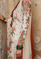 Winter Collection - Hussain Rehar - Karandi AW - D#03 - Bellis