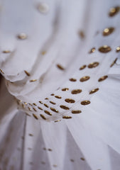 Fancy Exclusive Saree D#08