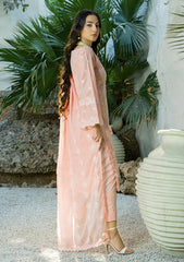 Lawn - Banafsheh - Chikankari Luxury 25 - BN-308